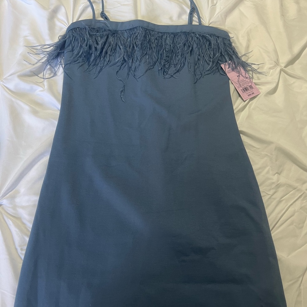 Blue Feather Trim Dress